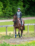 CH290522-23 - Charlie Hills Stable Visit